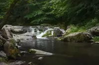 the sinks