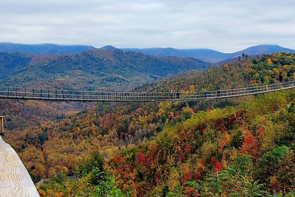 SkyBridge in fall