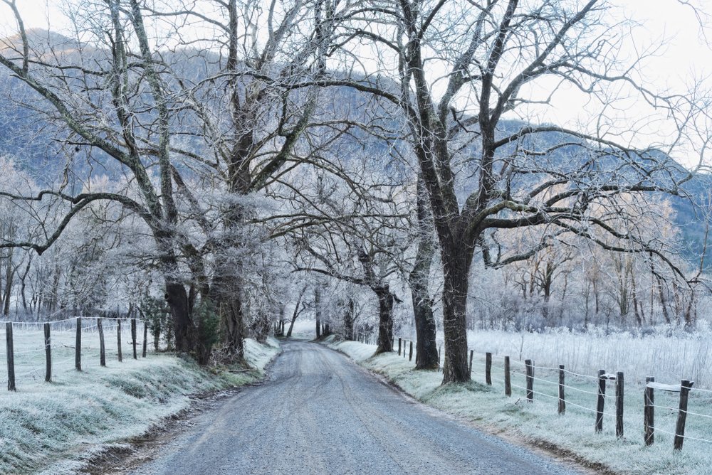 cades cove loop in the smokies in the winter