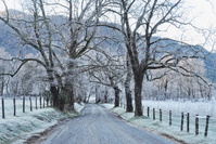 cades cove loop in the smokies in the winter