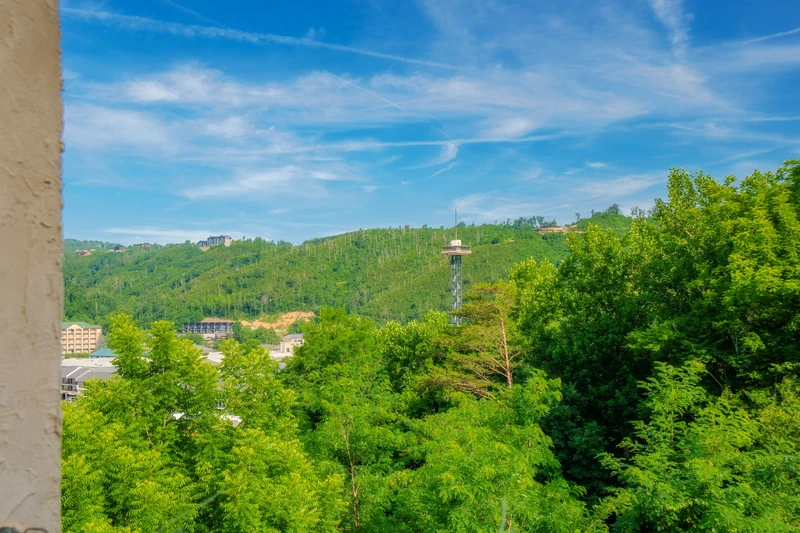 Mountain views framed by lush green forests and a vibrant blue sky, with a distinctive observation tower visible in the valley below, offering a serene natural backdrop.