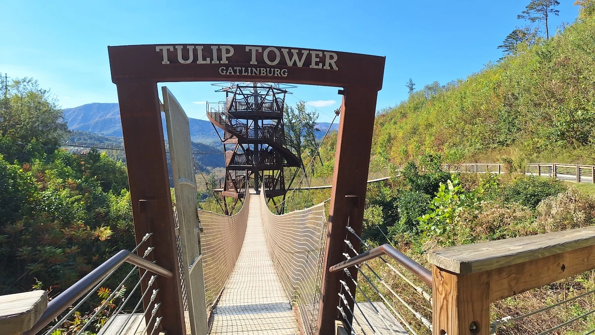 tulip tower gatlinburg