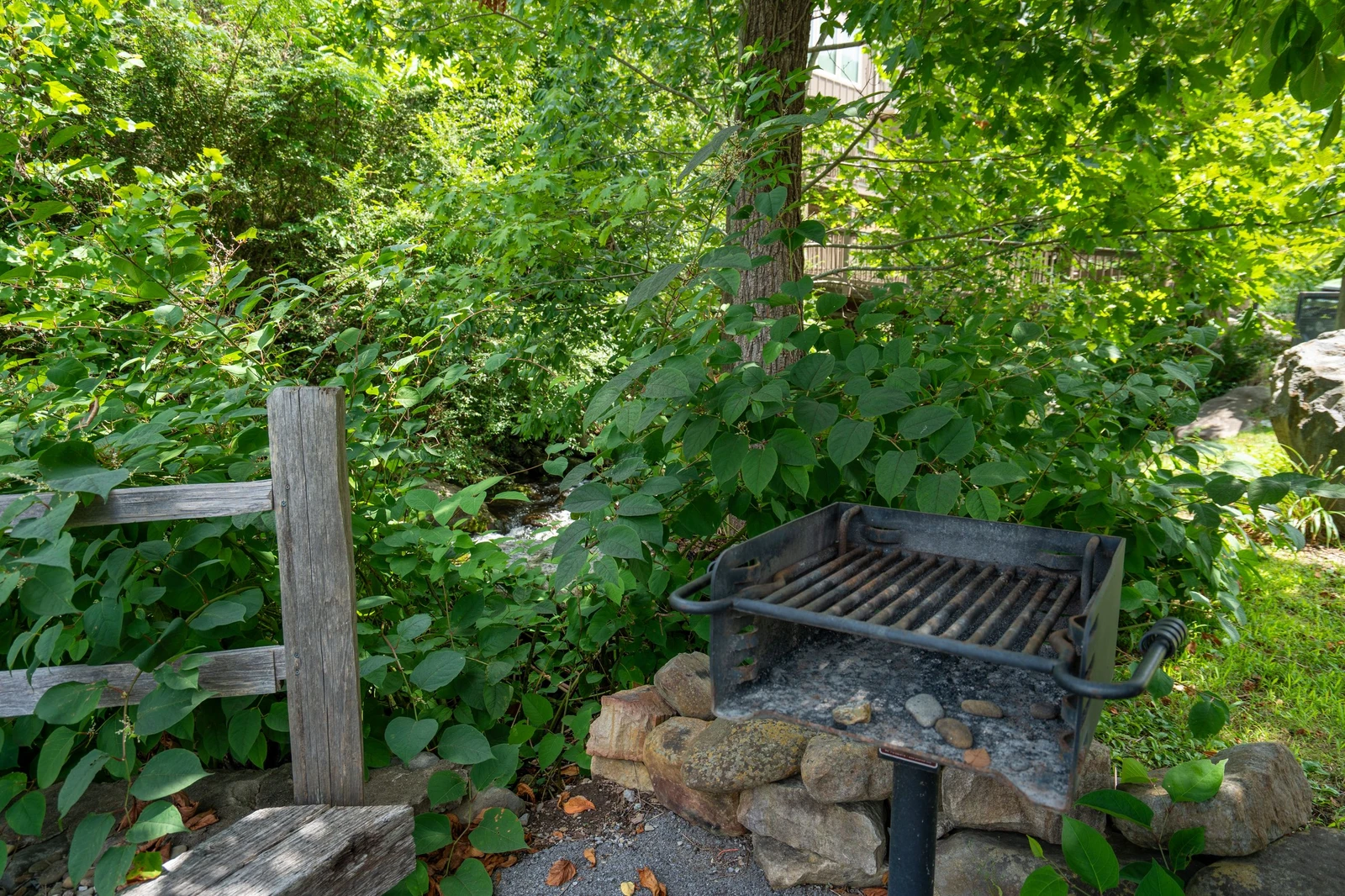 Tucked into lush greenery, this rustic outdoor BBQ space offers a peaceful spot to grill surrounded by vibrant trees and natural beauty.
