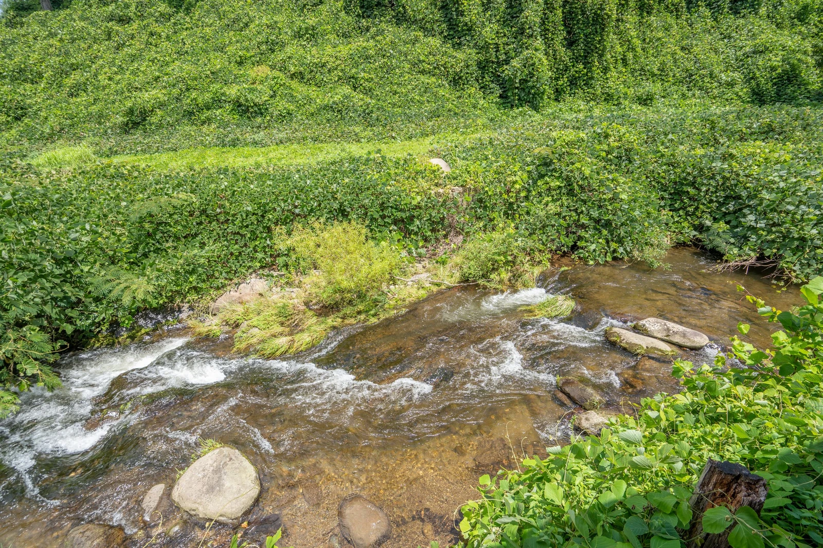 An aerial view captures the lush natural landscape surrounding the property, with a gentle stream winding through vibrant greenery and summer foliage.