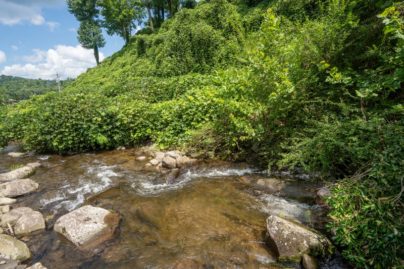 A scenic stream winds through lush hillsides, framed by abundant greenery and vibrant natural landscape near the property.