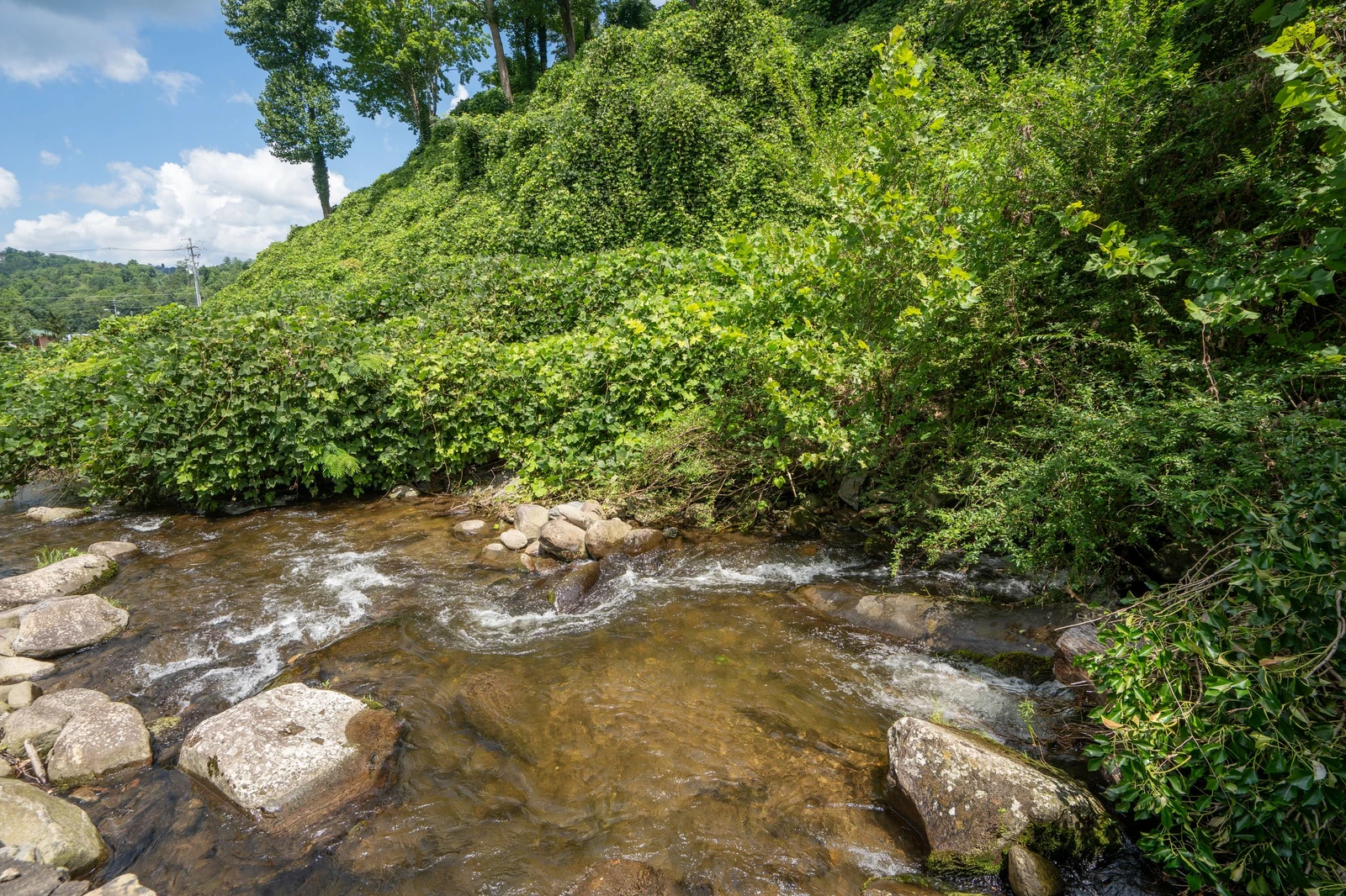 A scenic stream winds through lush hillsides, framed by abundant greenery and vibrant natural landscape near the property.
