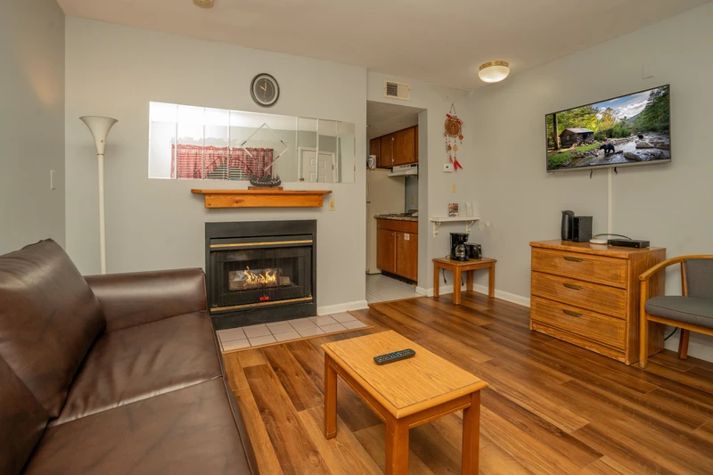 Unwind in your comfortable living space with a cozy fireplace, polished wood floors, and modern entertainment setup—your perfect retreat after a day of adventure.