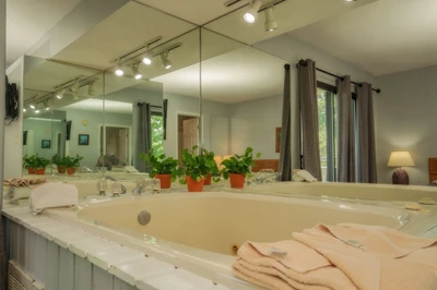 Sink into your own private spa retreat—a deep soaking tub awaits, framed by soft natural light and lush greenery that brings calm to every moment.