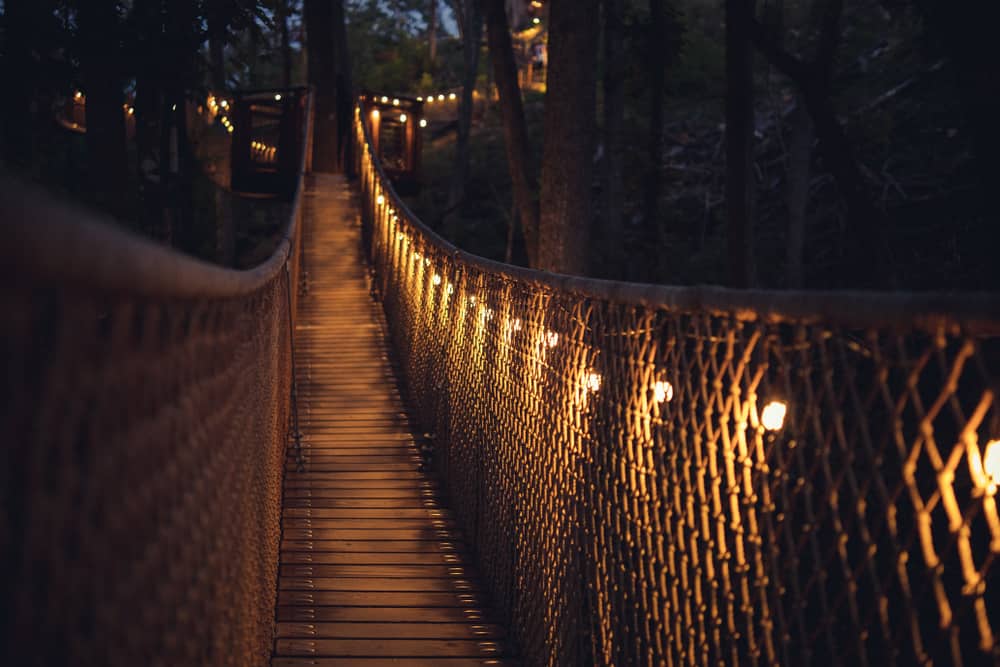Tree Bridge at Anakeesta at Night with Lights