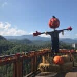mountain view with pumpkin decorations at Anakeesta