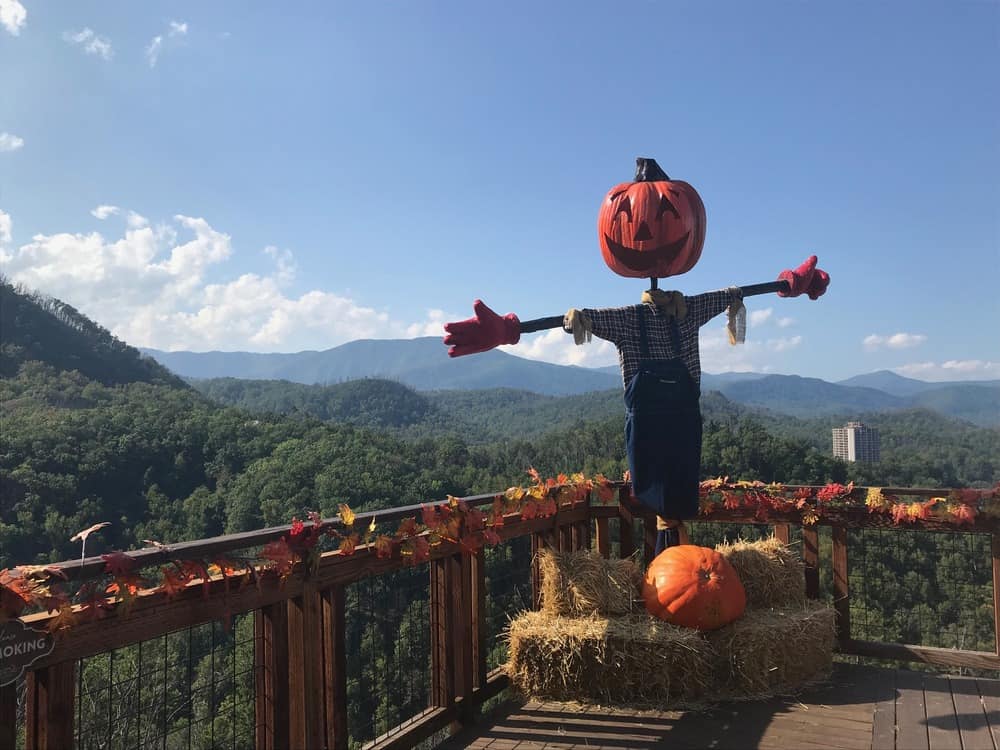 mountain view with pumpkin decorations at Anakeesta